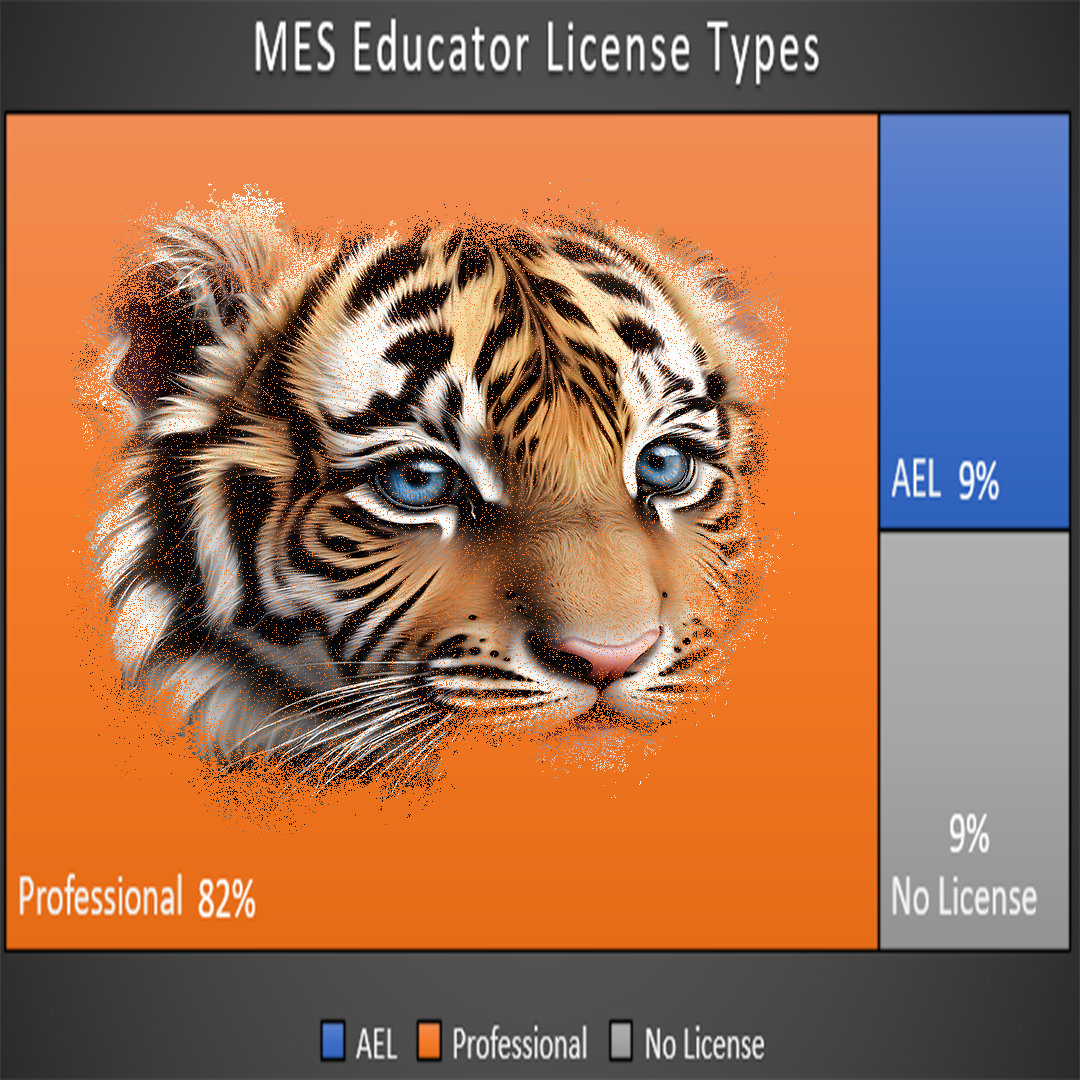 MES License Types