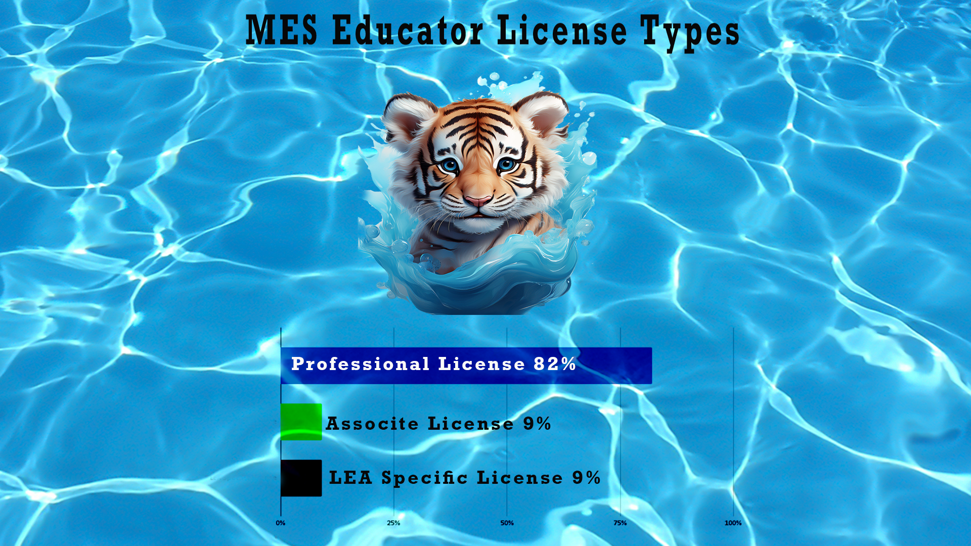 MES License Types
