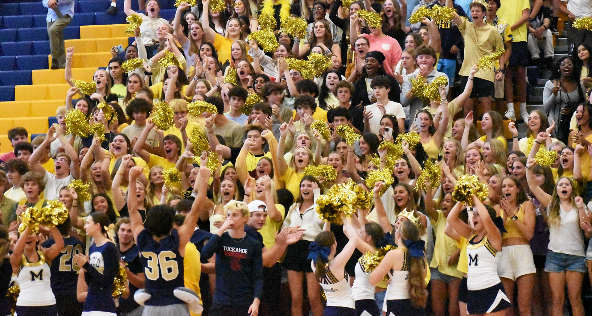 Students cheering in gym