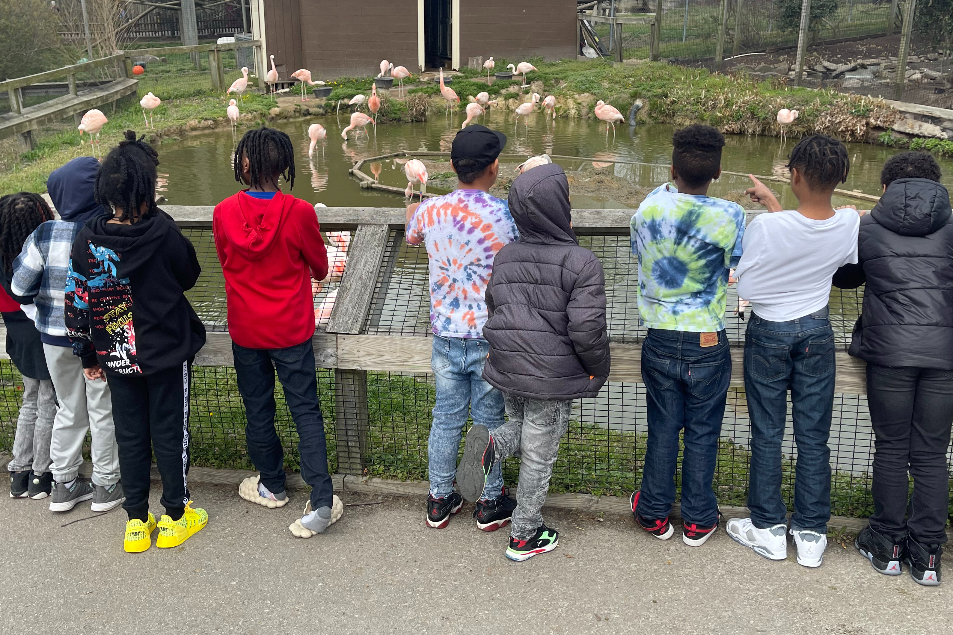 A group of students at the zoo