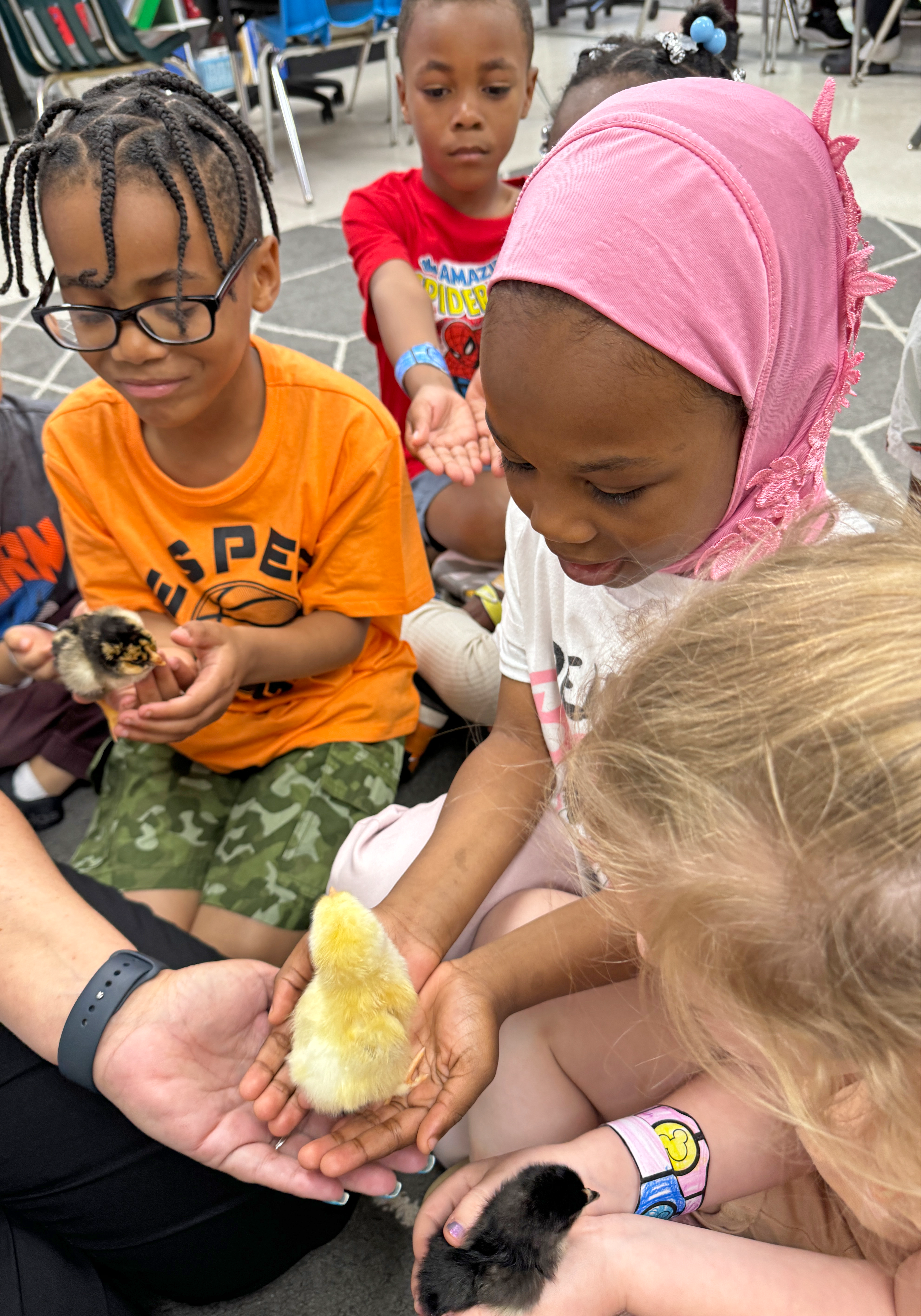 Students holding baby chicks