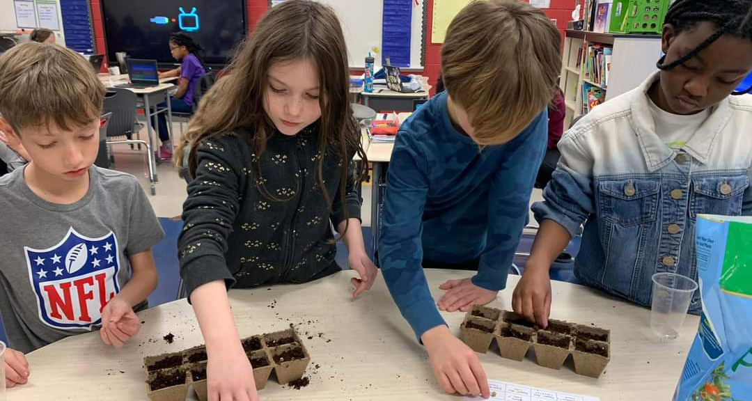 Four students planting seeds in soil for a classroom project