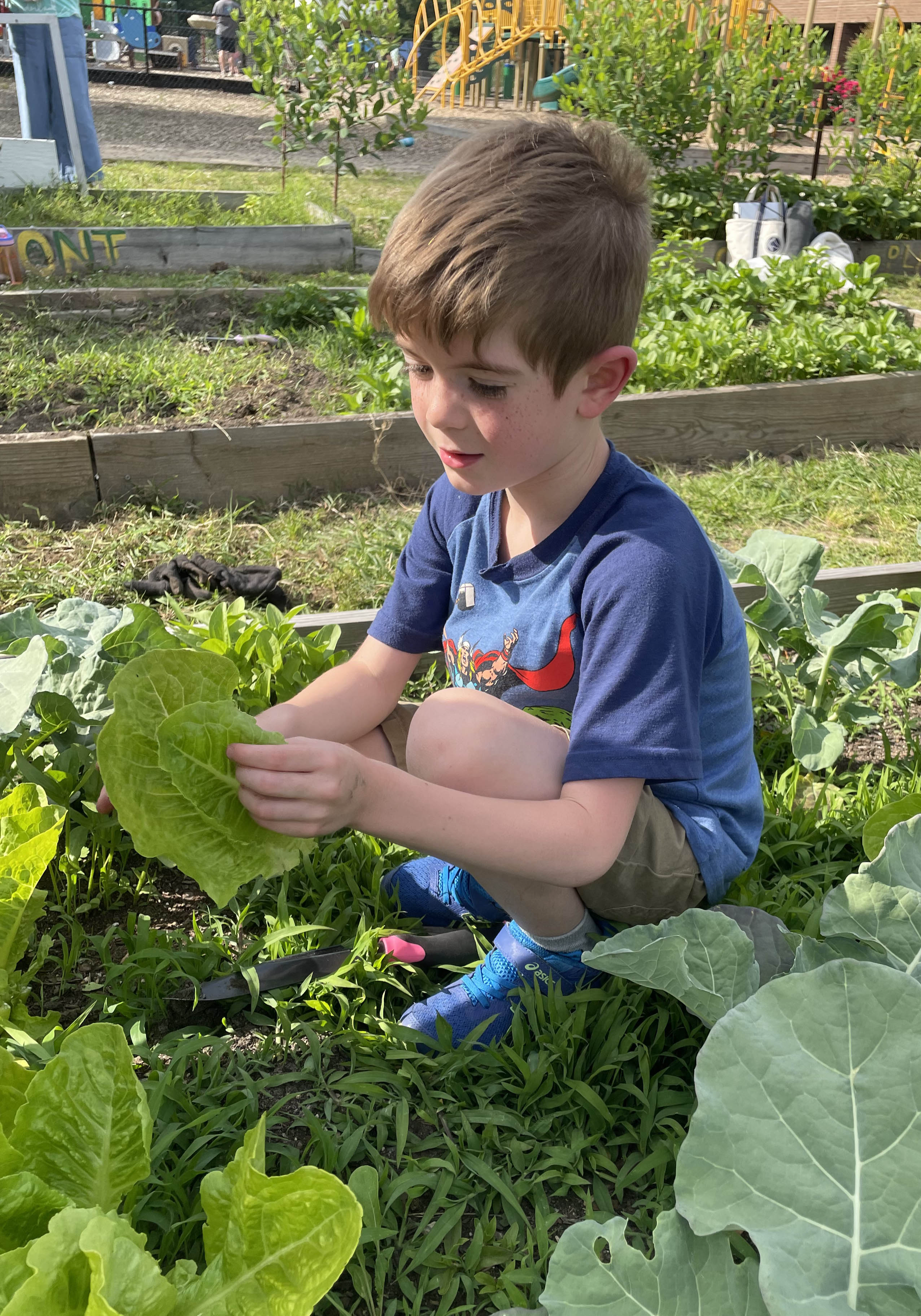 A student picking up leaves in a garden