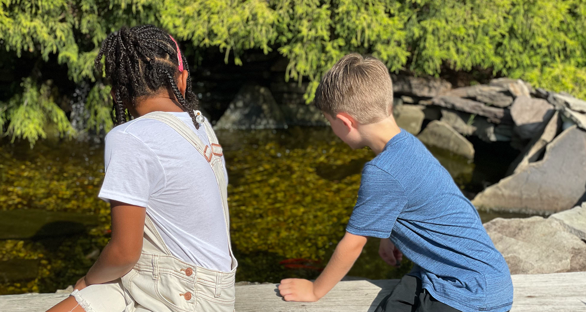 students looking at a small pond