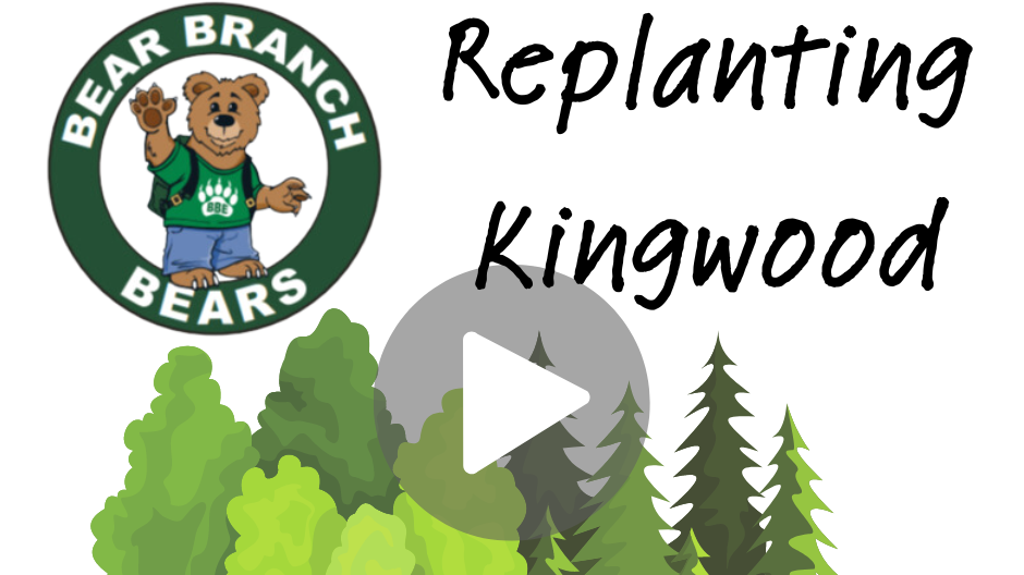 replanting kingwood