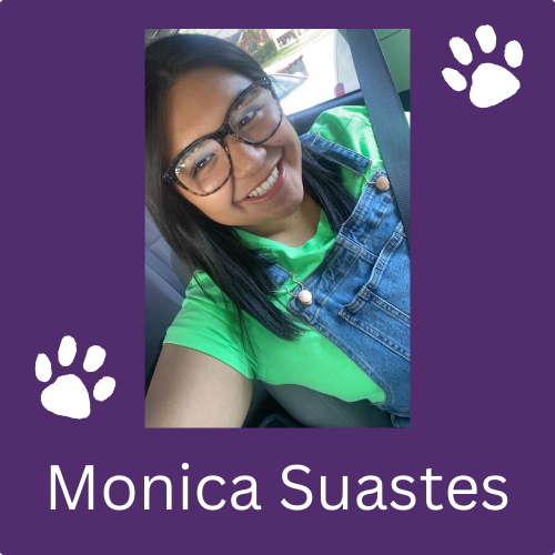 Monica Suastes