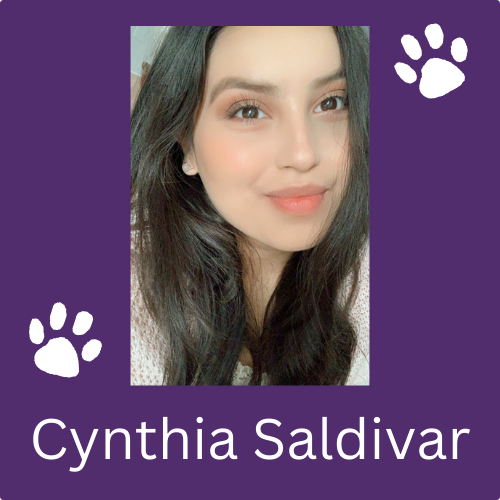 Cynthia Saldivat