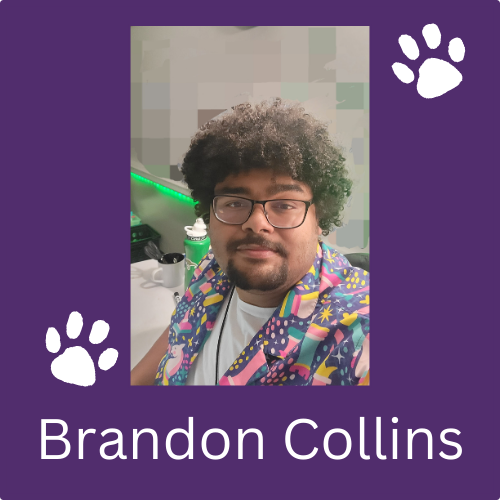 Brandon Collins