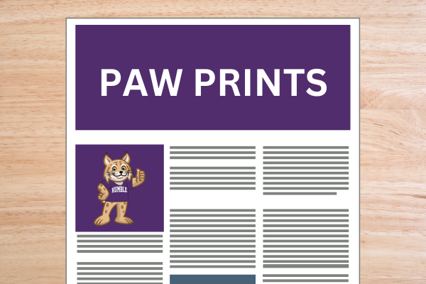 Newsletter