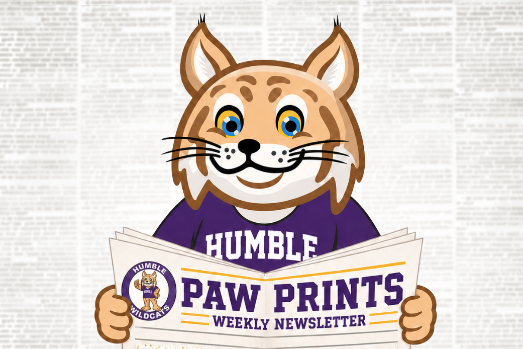 Newsletter