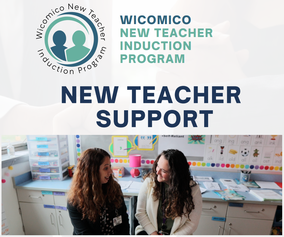 new teacher support