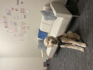Benji 