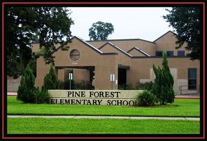 Pine Forest Elementary image of front of building