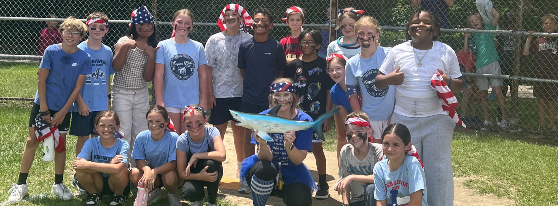shark ball