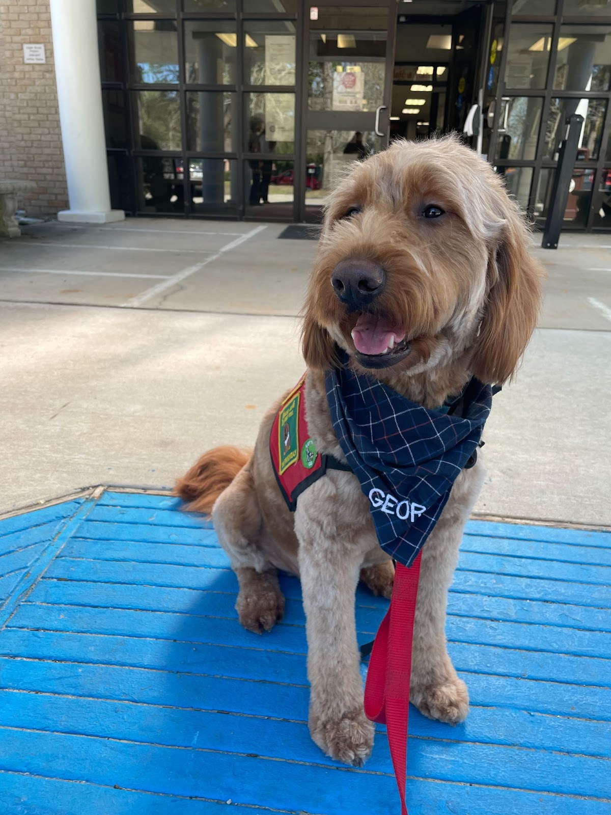 george at school