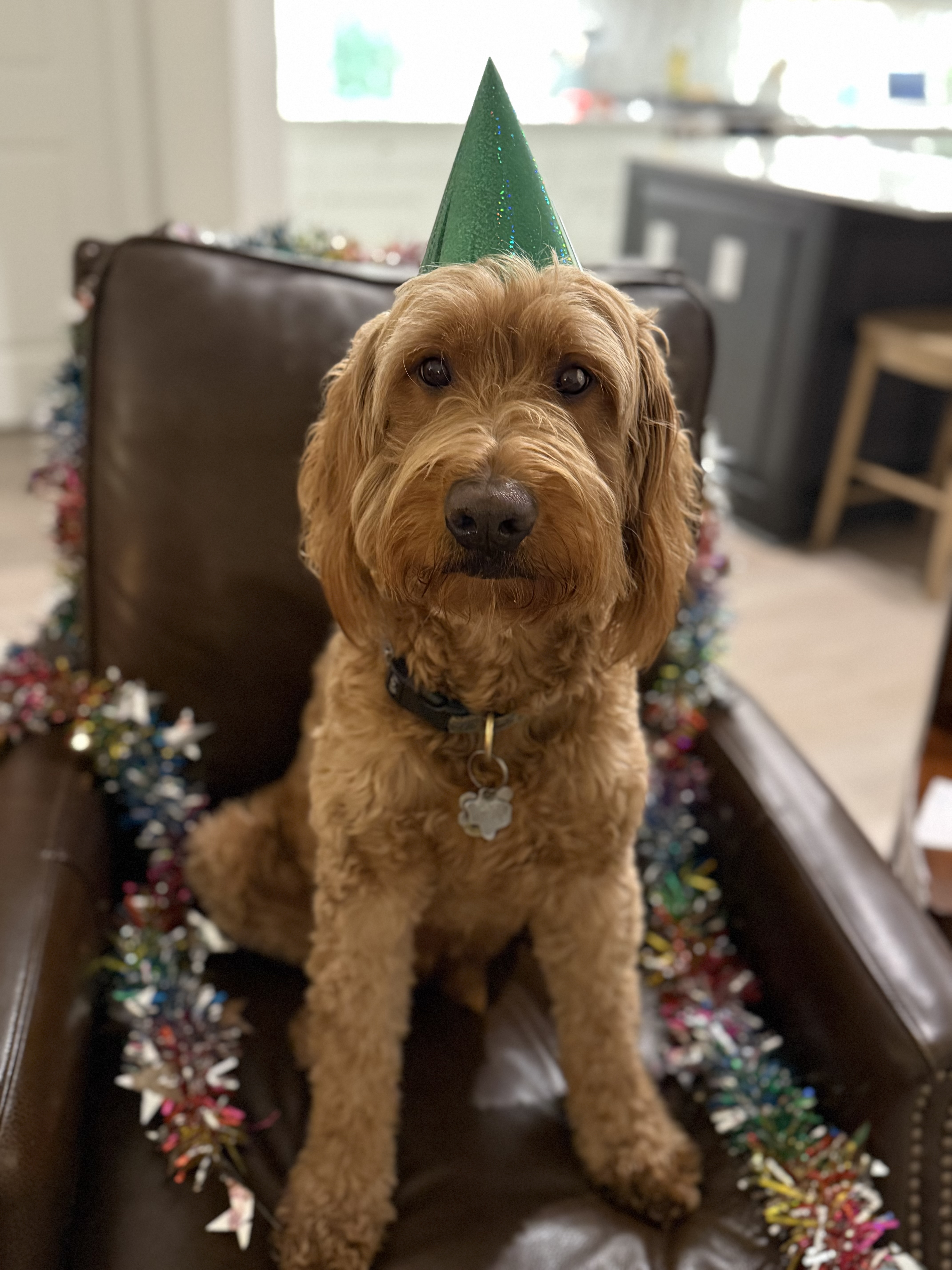 george on his birthday