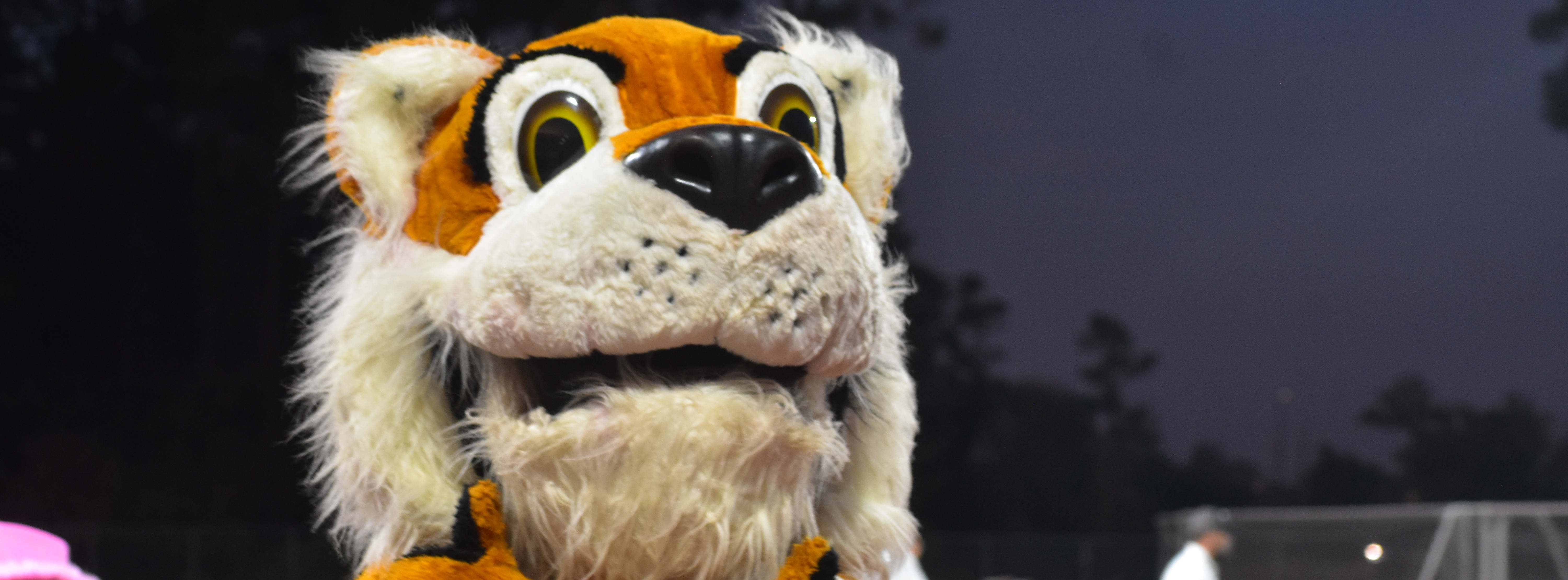 mascot
