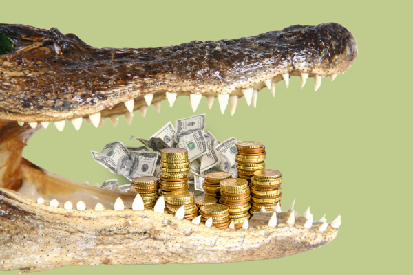 Annual Fund Alligator with mouthful of money