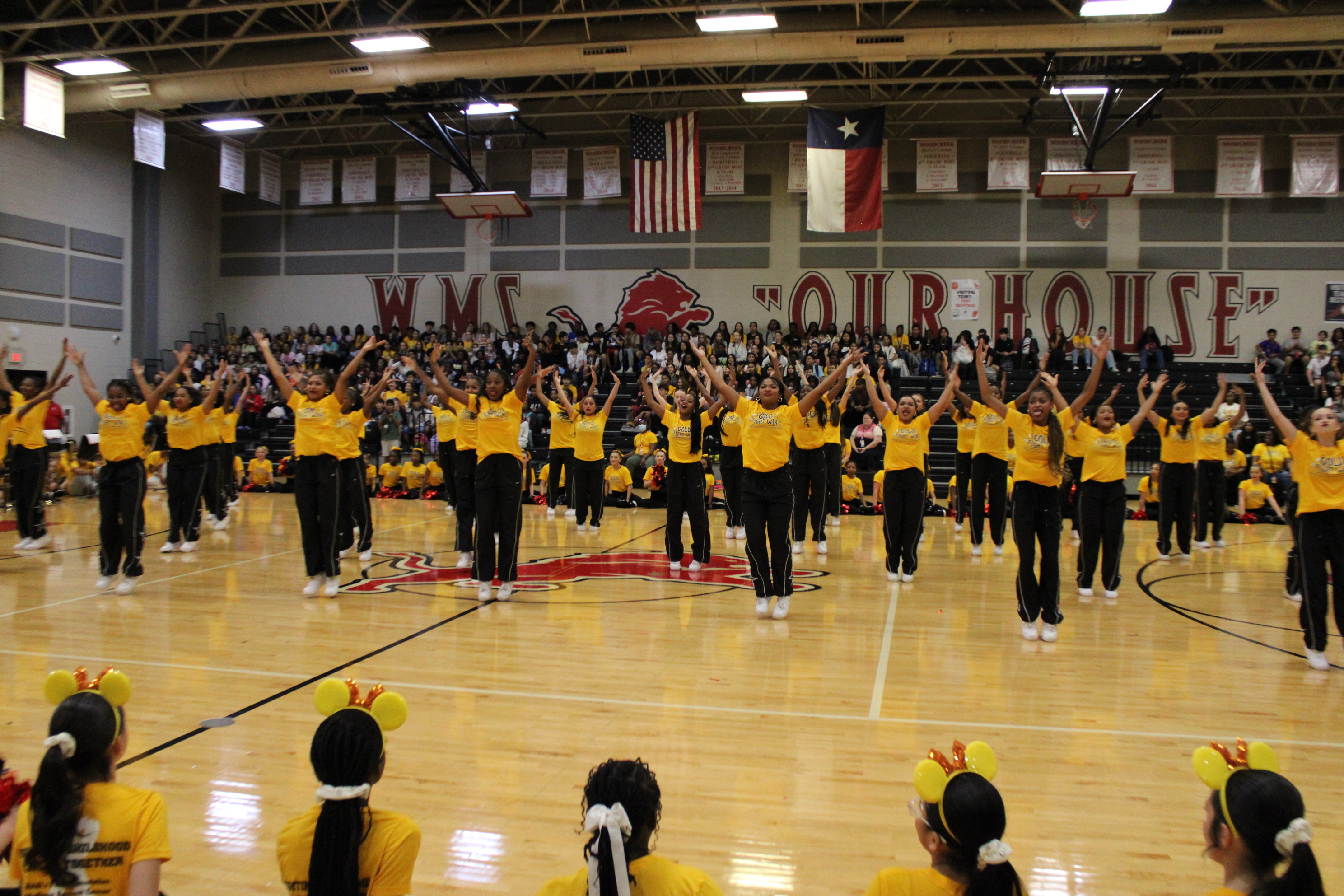 WMS Gold Fight Win
