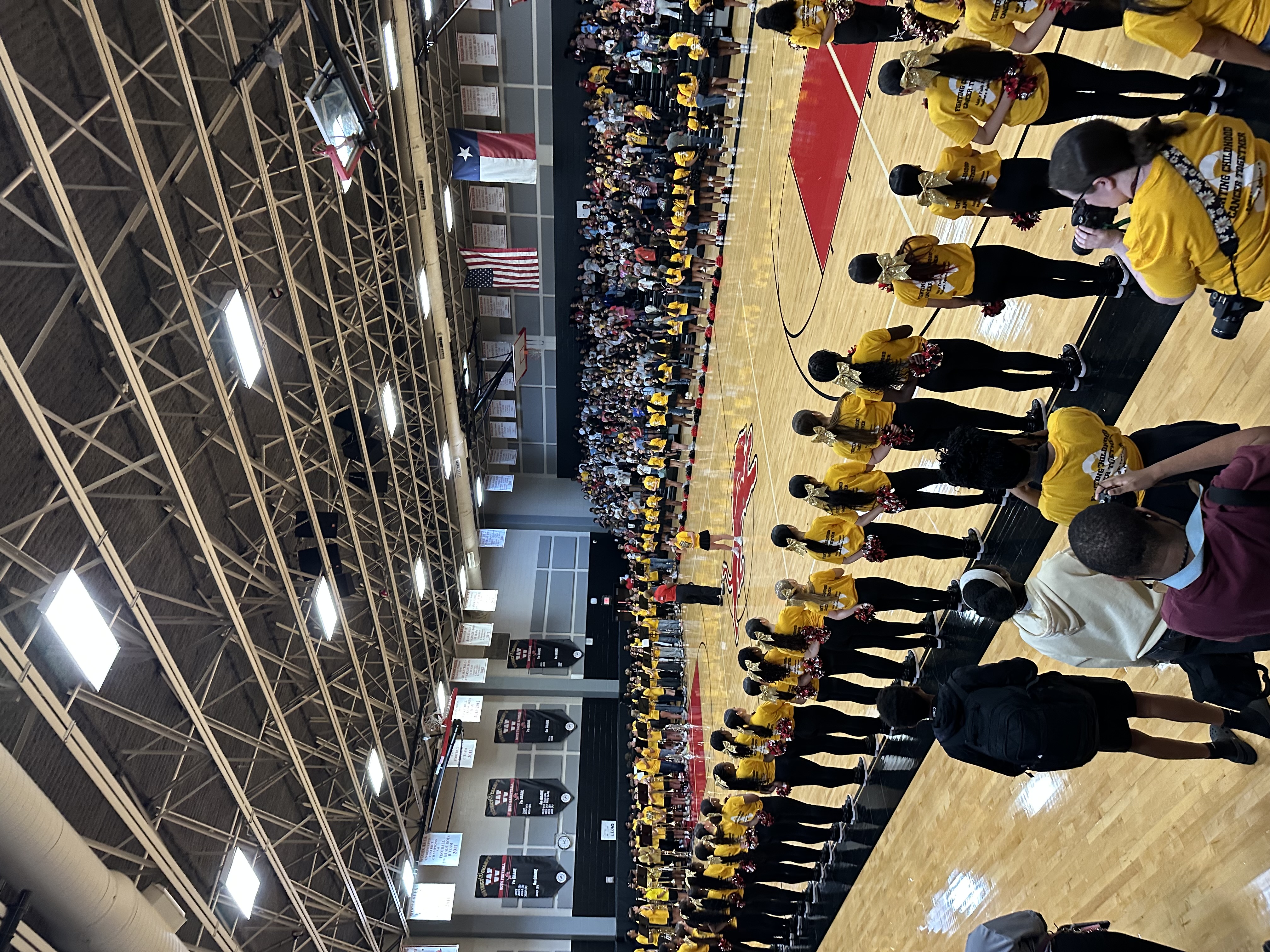 WMS Gold Fight Win