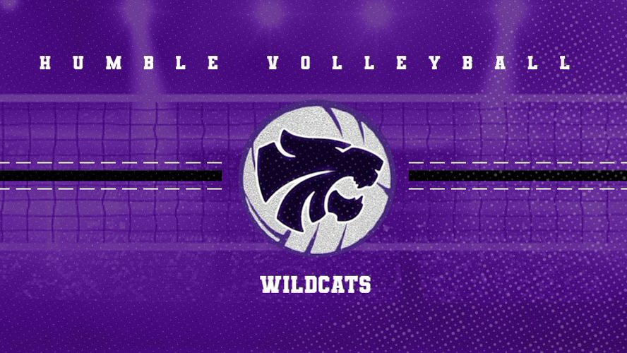 HHS Girls Volleyball logo and background.