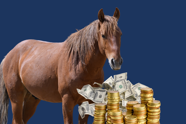 Annual Fund