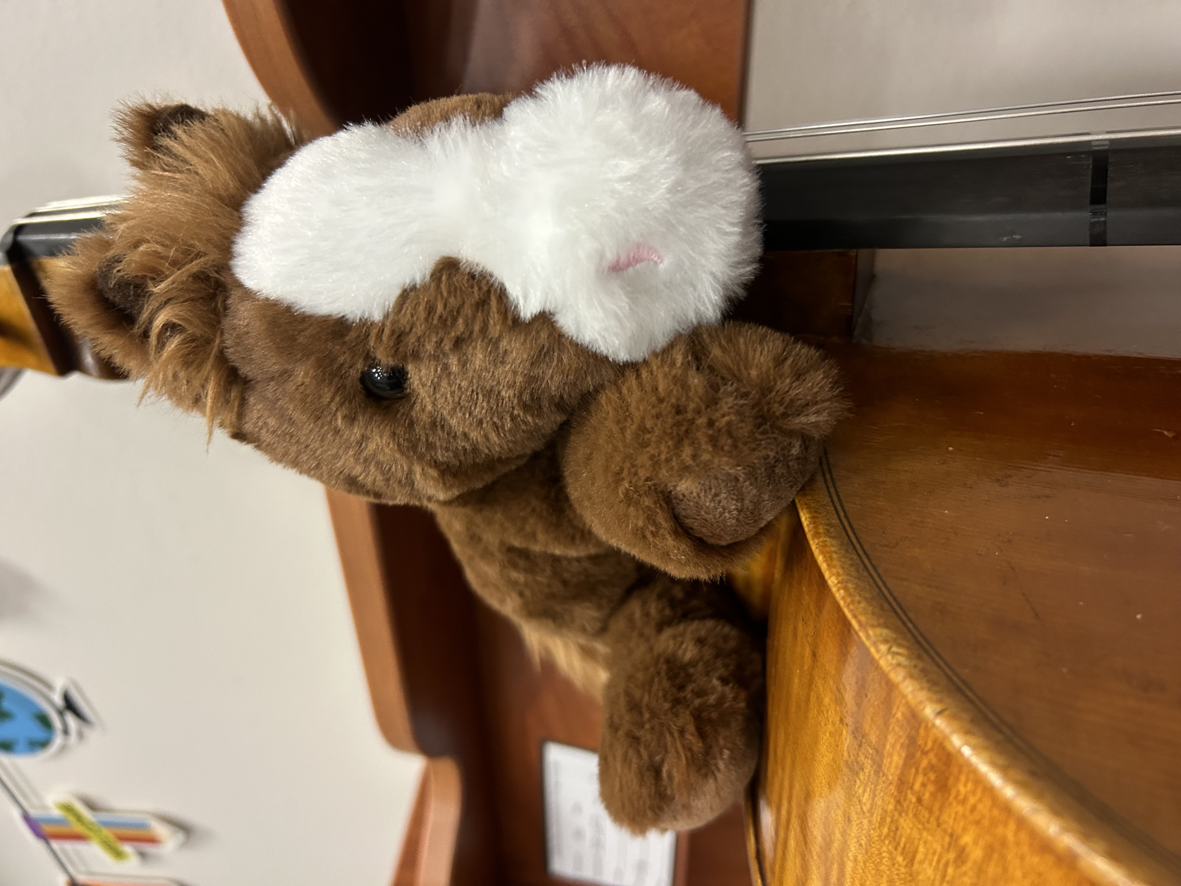 Our mascot: Megan the Mustang