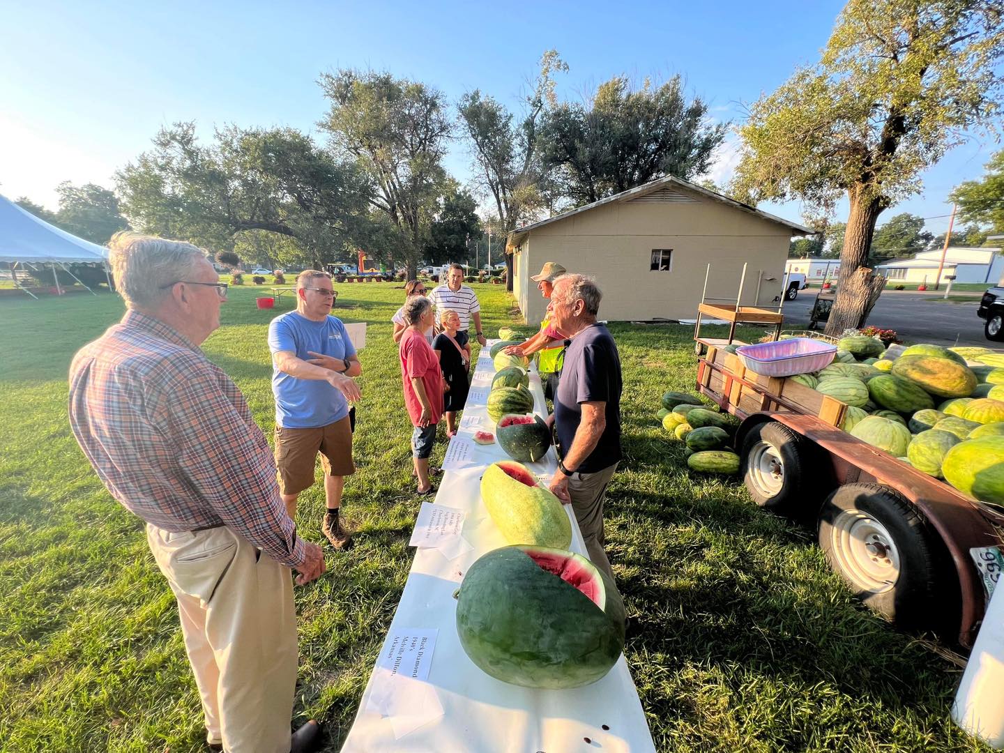 Watermelon Fest