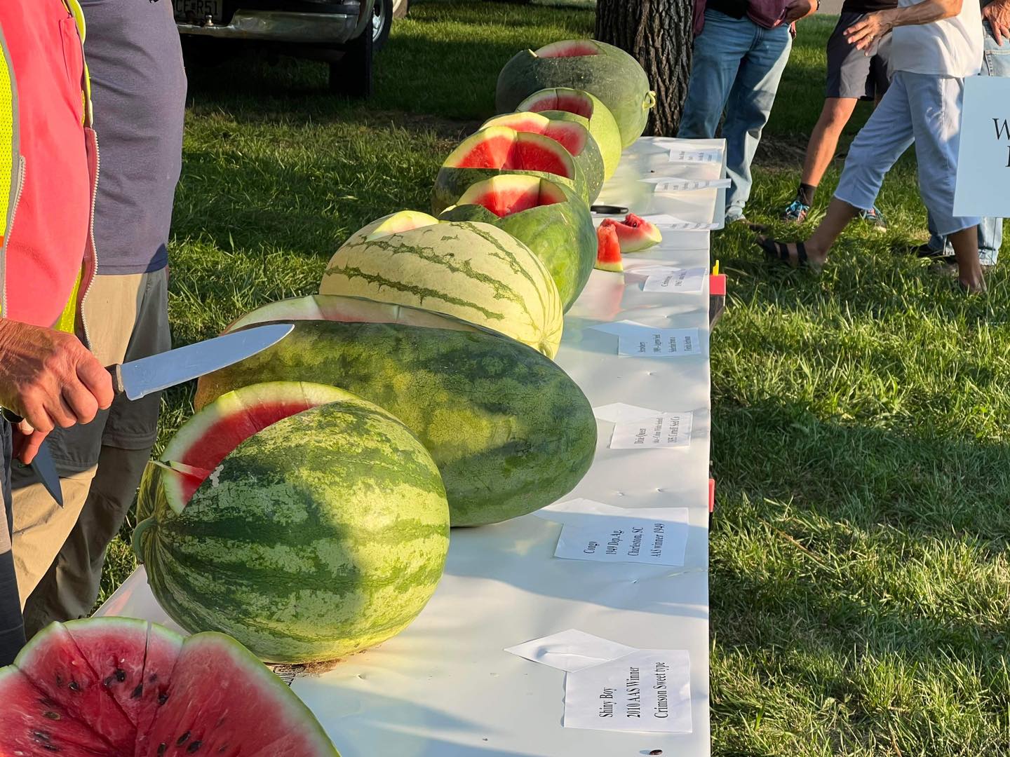 Watermelons