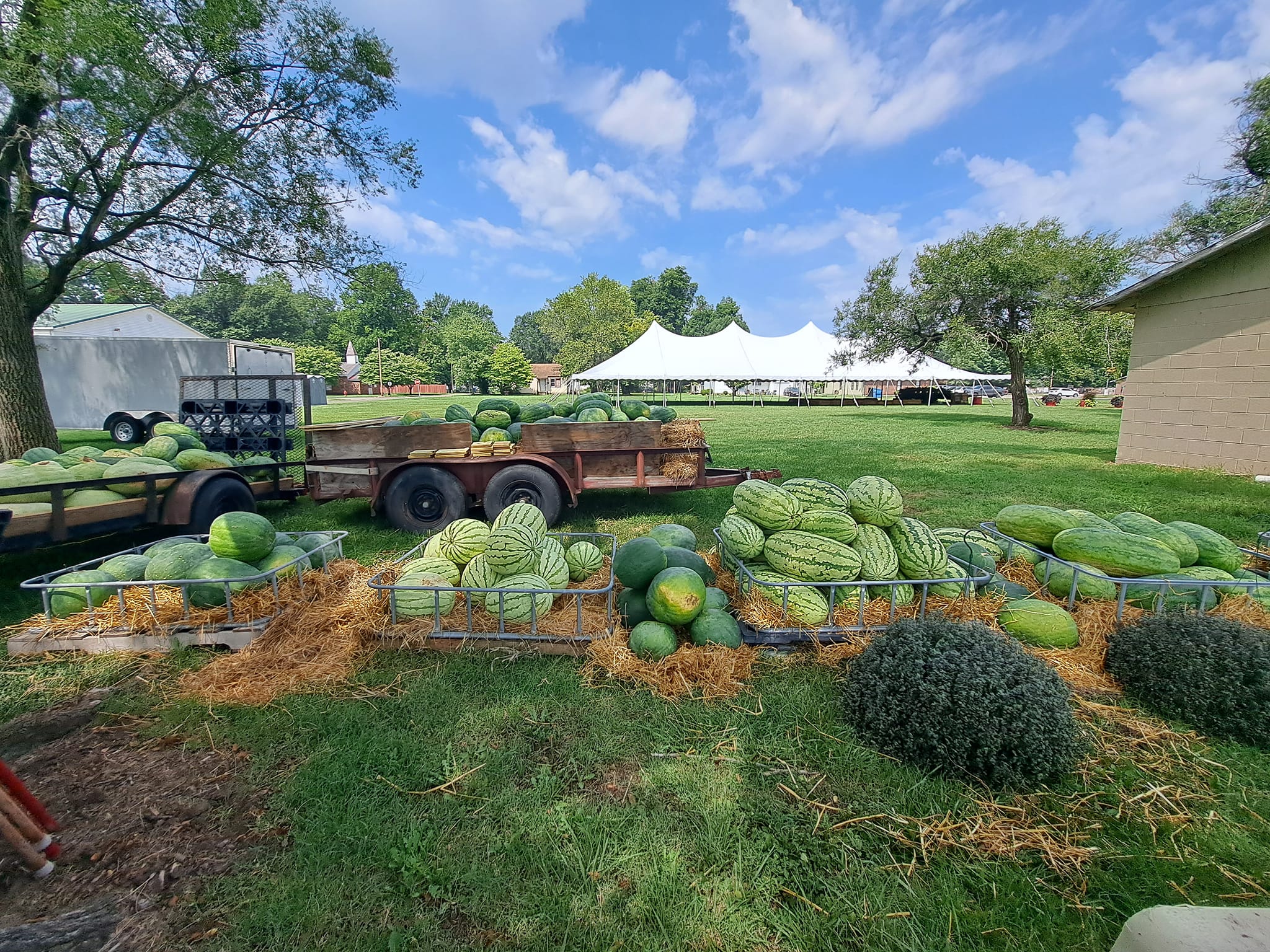 Watermelon Fest