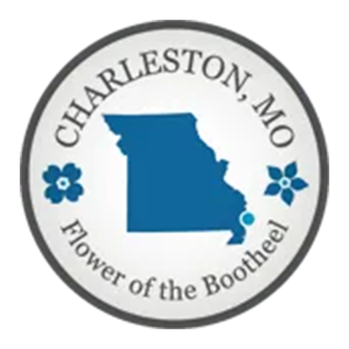 Payment Options City Of Charleston