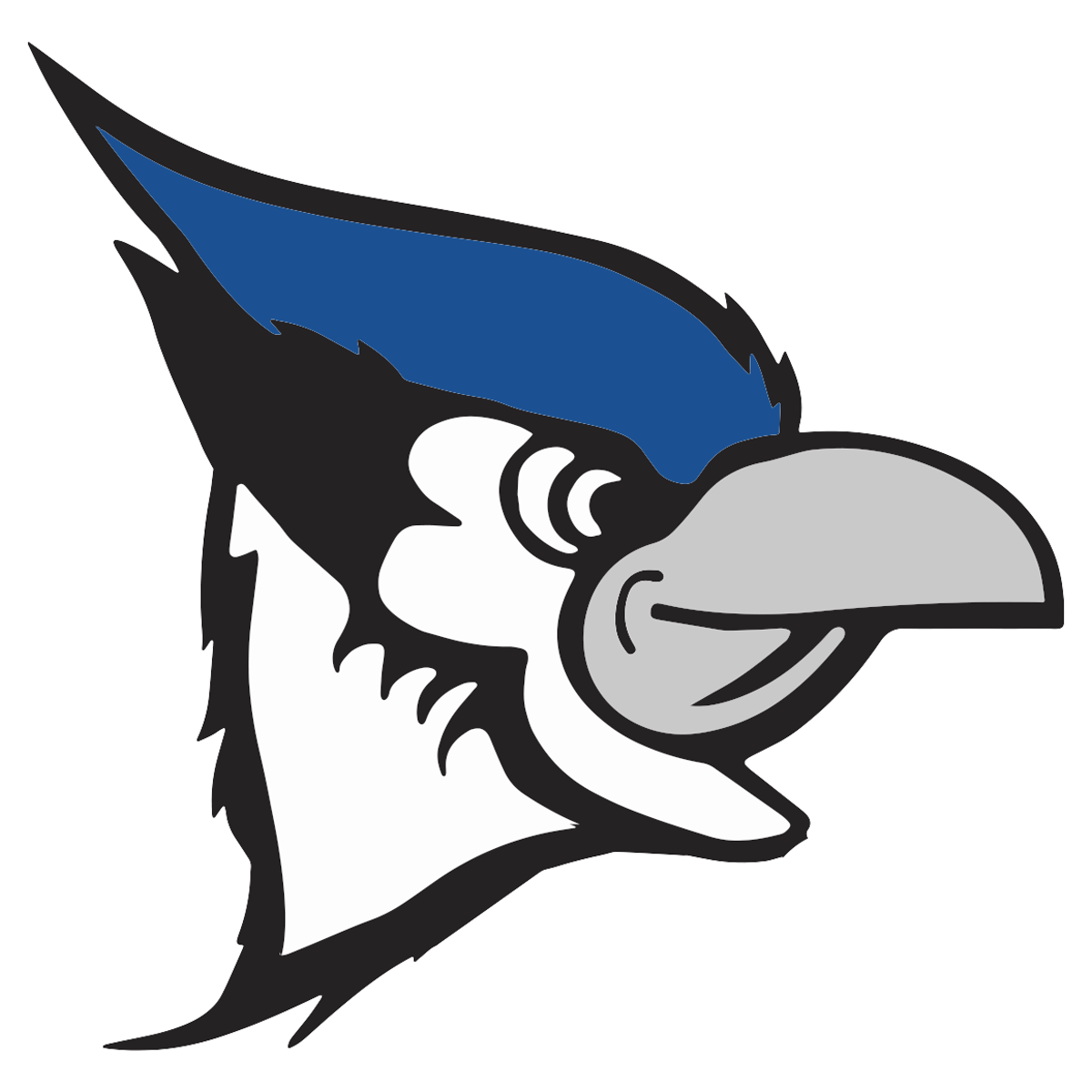  Central Columbia High School Bluejays T-Shirt : Sports &  Outdoors