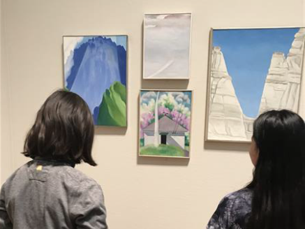 Art Institute Field Trip
