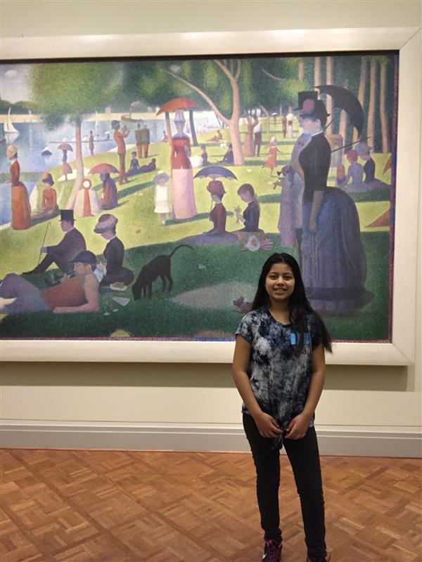 Art Institute Field Trip