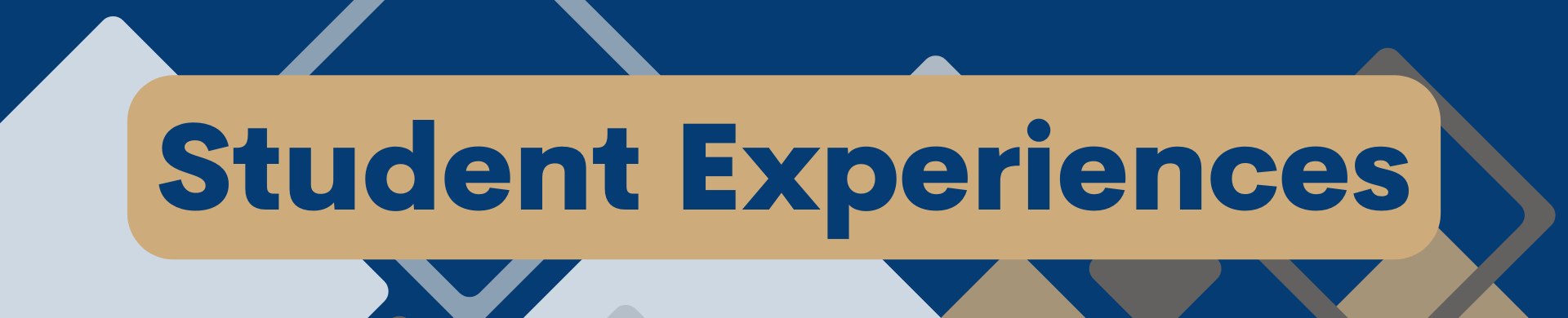 Student Experience header