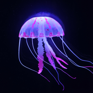 Jellyfish