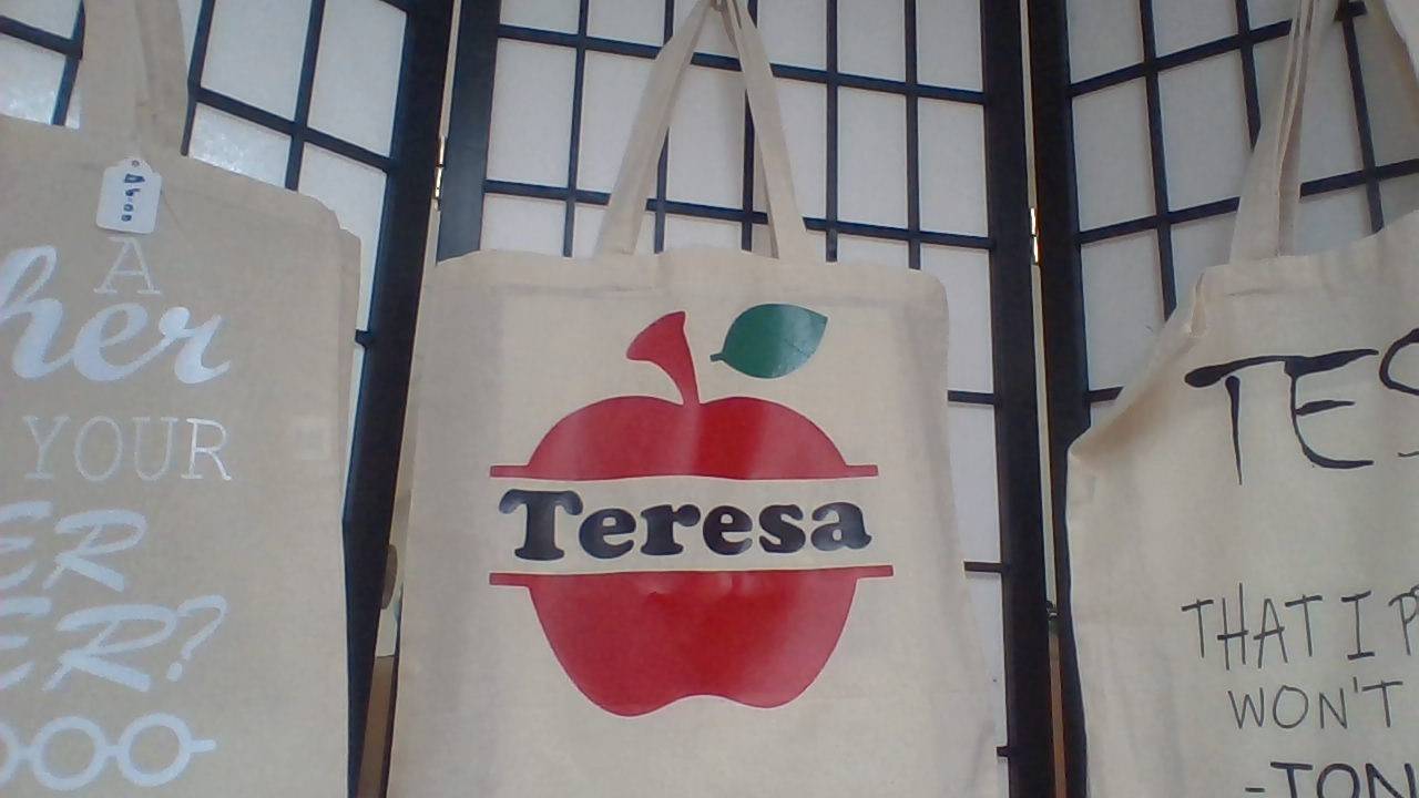 Teacher apple bag