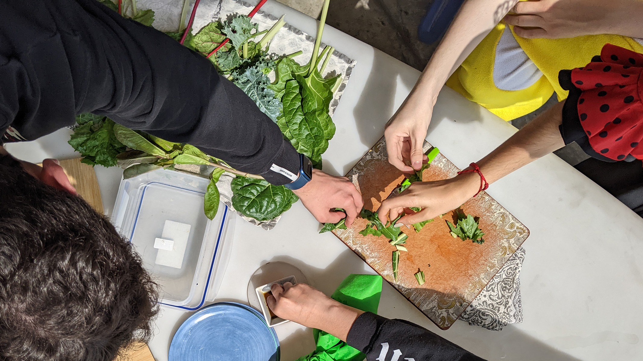 Elementary Science & Ecology