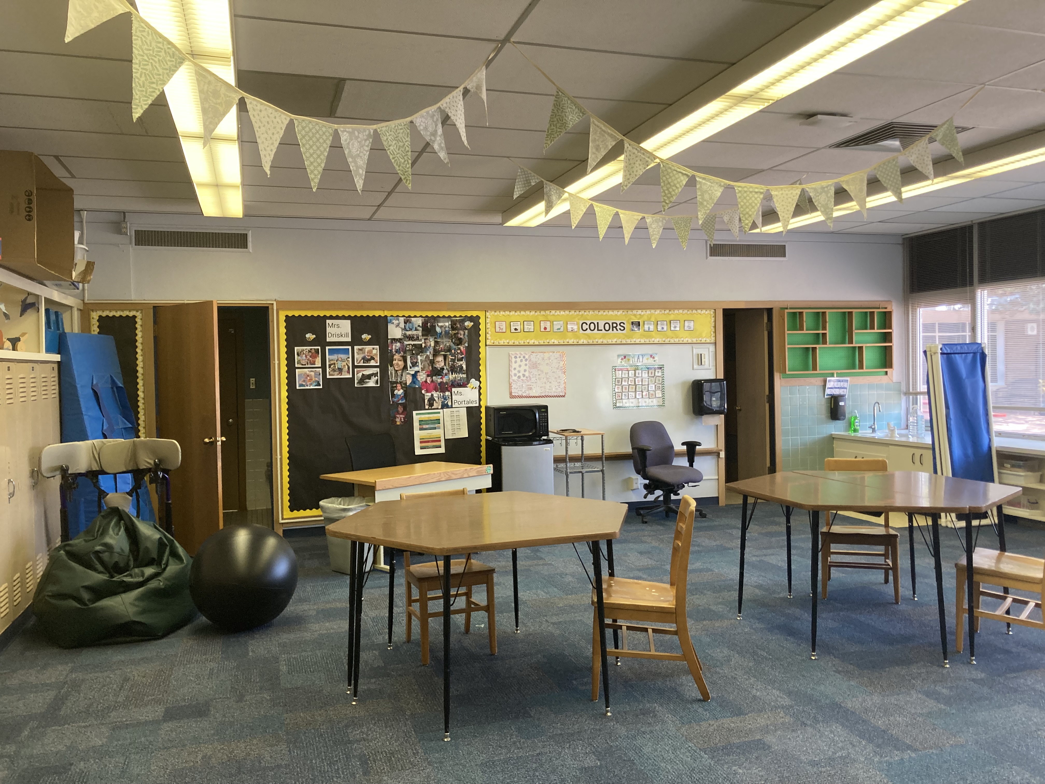 Mrs. Driskill's Classroom