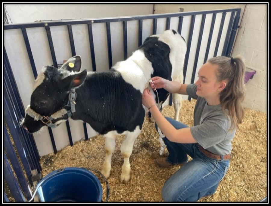 Agriculture Sciences