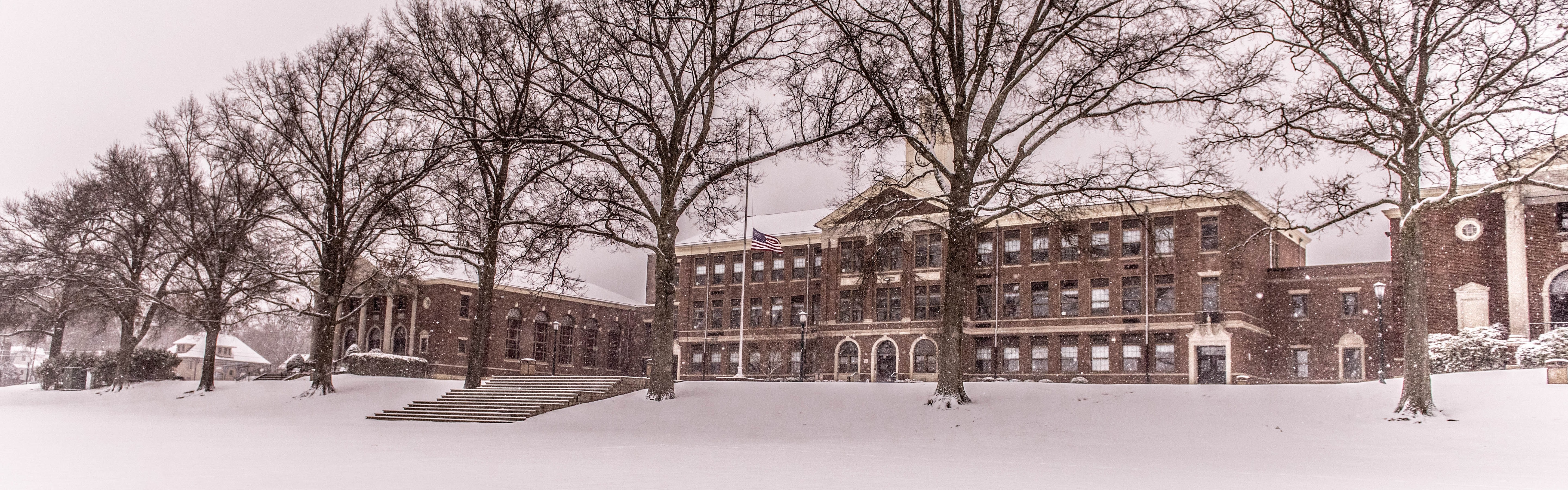 Snowy RHS