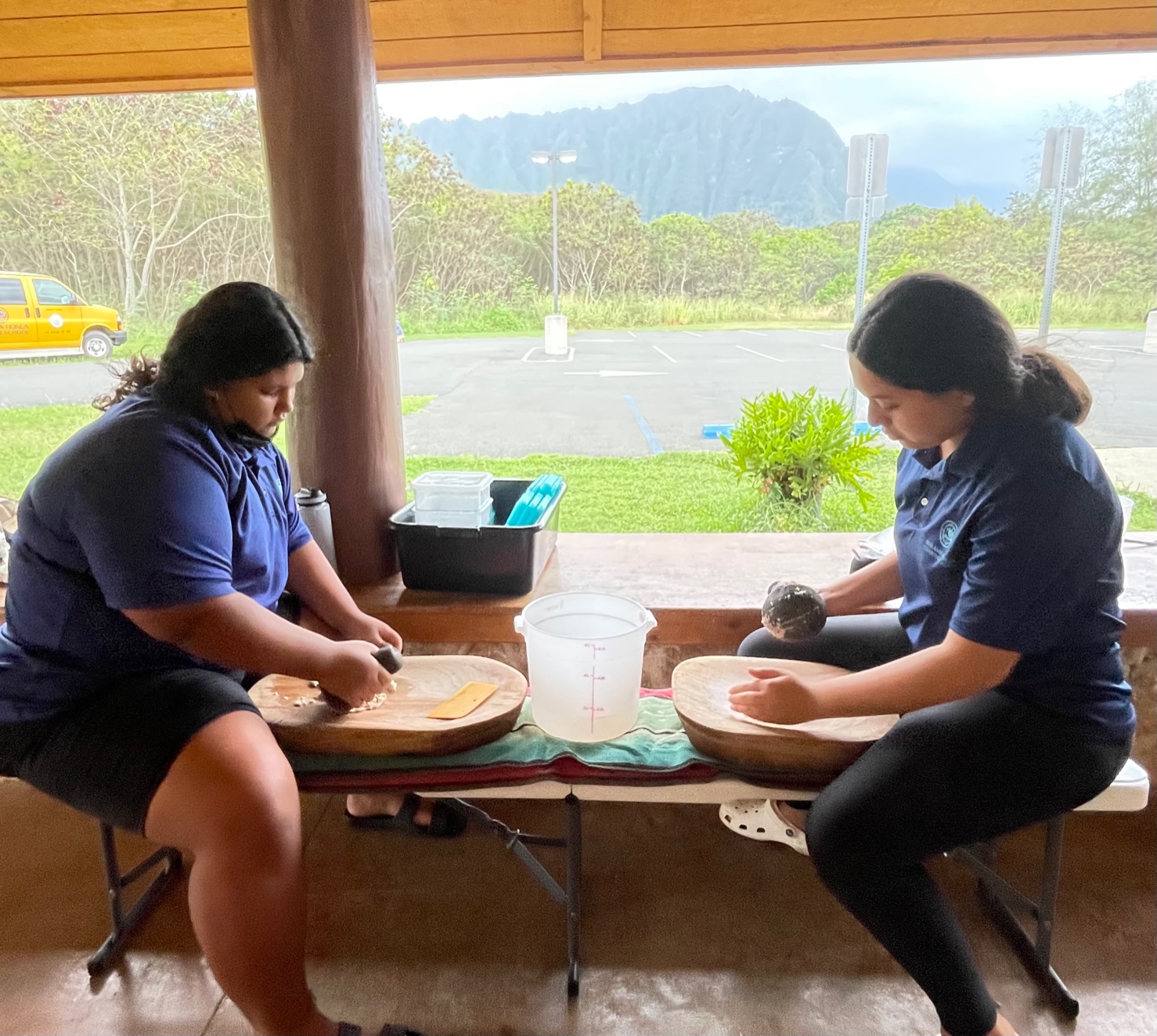 papa and pohaku