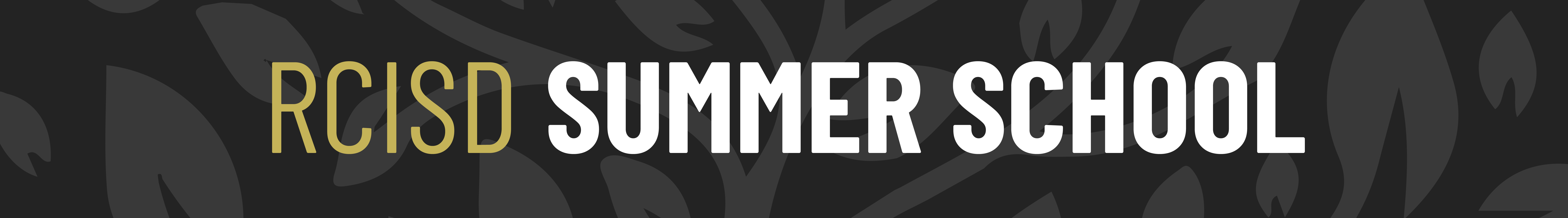 summer school banner