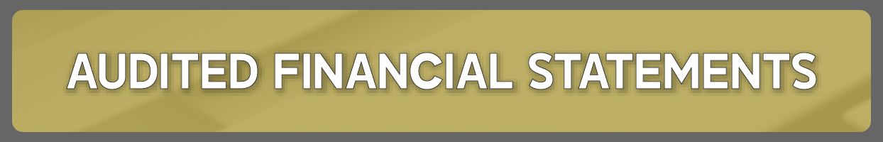 Audited Financial Statements Button