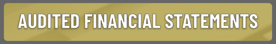Audited Financial Statements Button