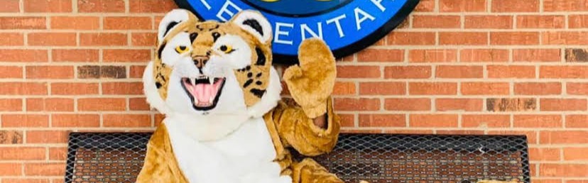 Burns Bobcat