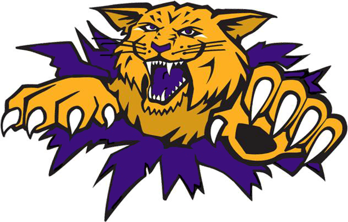 Tiger logo for Slater Schools