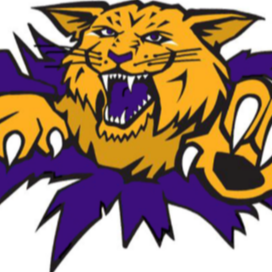 Wildcat