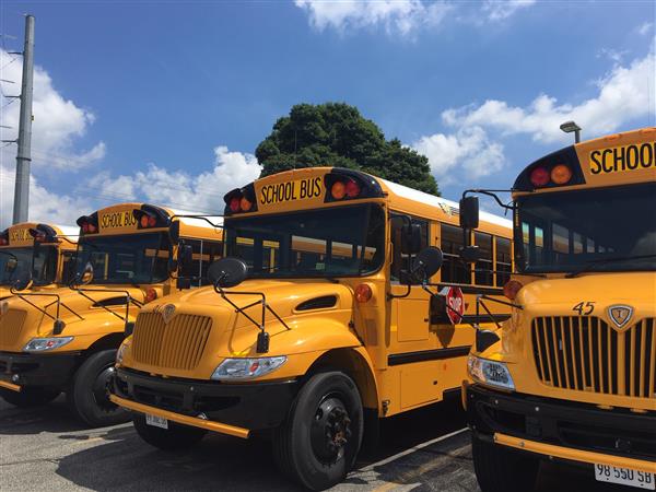 Picture of school buses parked