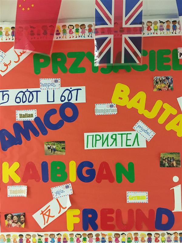 Picture of a bulletin board in different languages